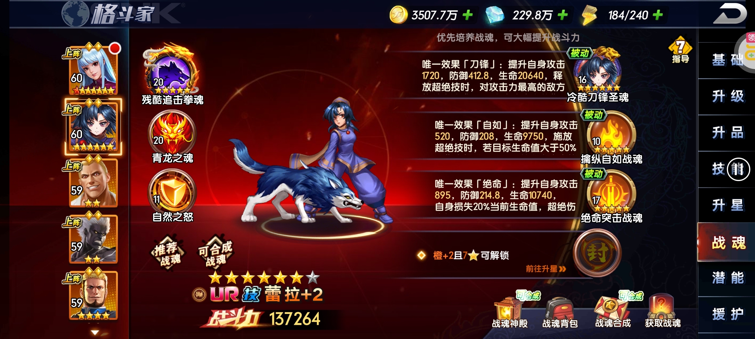 氪佬攻略，白嫖也可以学习下 - 鱼渣渣网